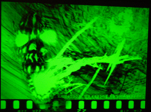File:Soleil vert CoreAmstrad.png