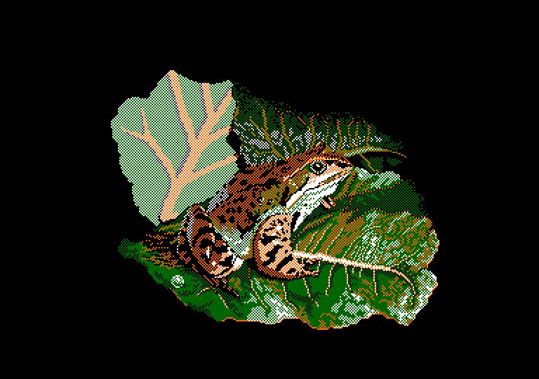 File:CCF screen shot 5.jpg