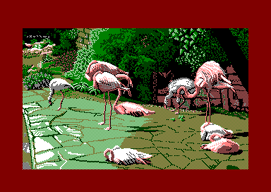File:ElectricLanternShow Flamingoes.gif