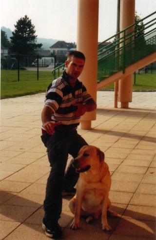 File:Stv.jpg