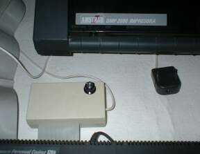 File:Dart 2.jpg